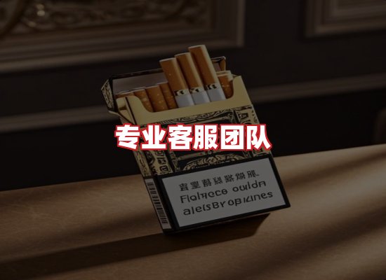 专业团队